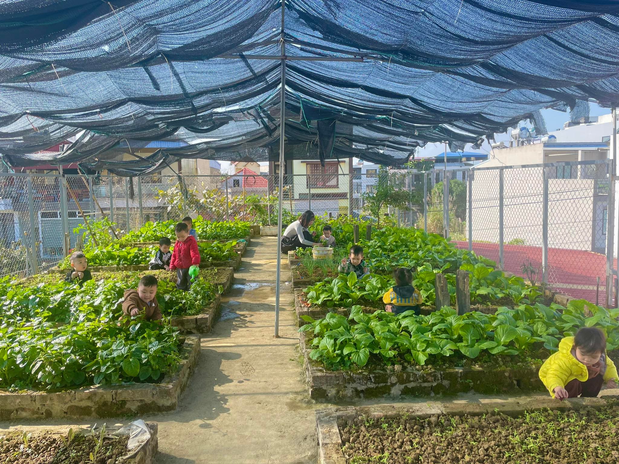 Cơ sở vật chất 5